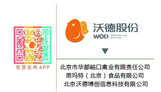 手机屏幕截图描述已自动生成